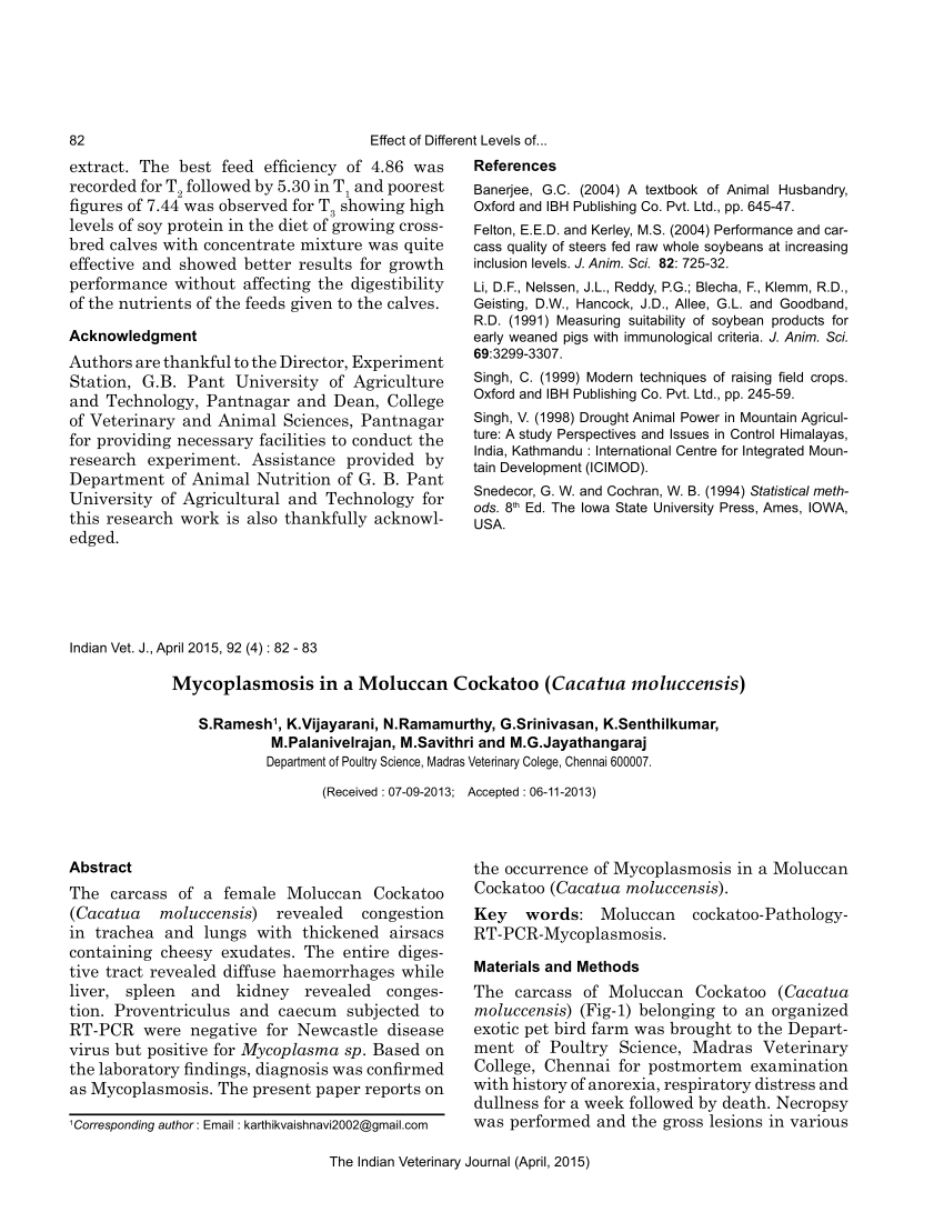 PDF) Mycoplasmosis in a moluccan cockatoo (Cacatua moluccensis)