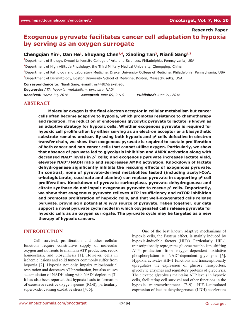 PDF) Exogenous pyruvate facilitates cancer cell adaptation to hypoxia by  serving as an oxygen surrogate