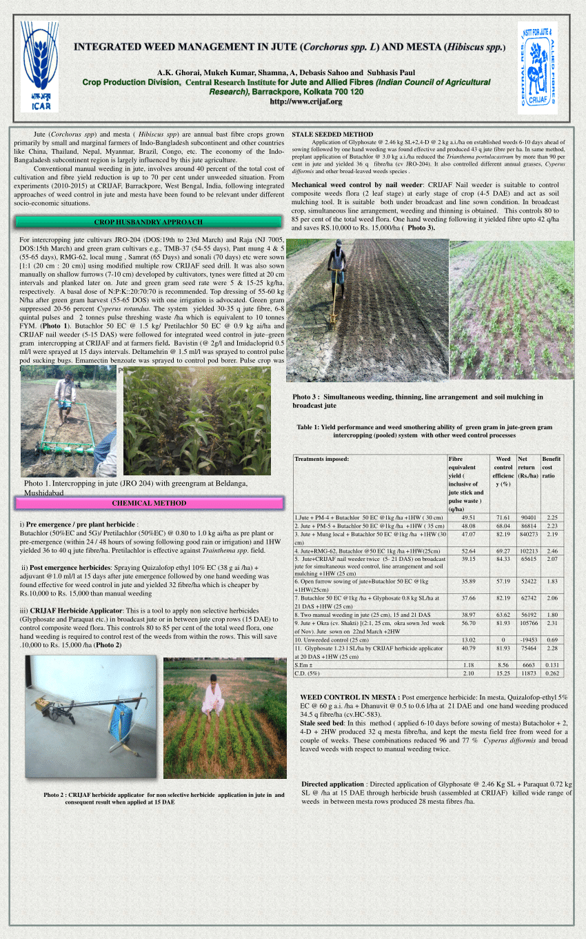 (PDF) Integrated Weed Management IN Jute (Corchorus spp. L) and Mesta ...