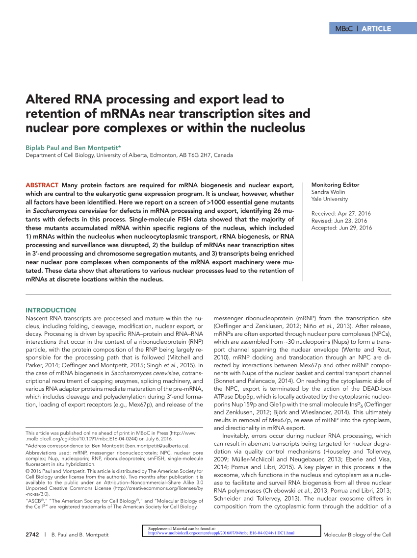 PDF) Altered RNA processing and export 