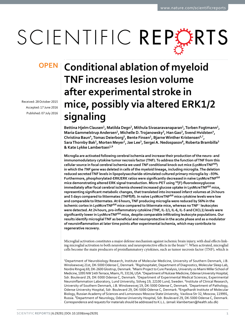 PDF) Conditional ablation of myeloid TNF increases lesion volume ...