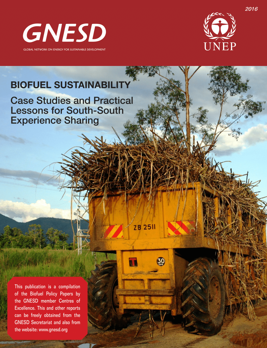 biofuel case study