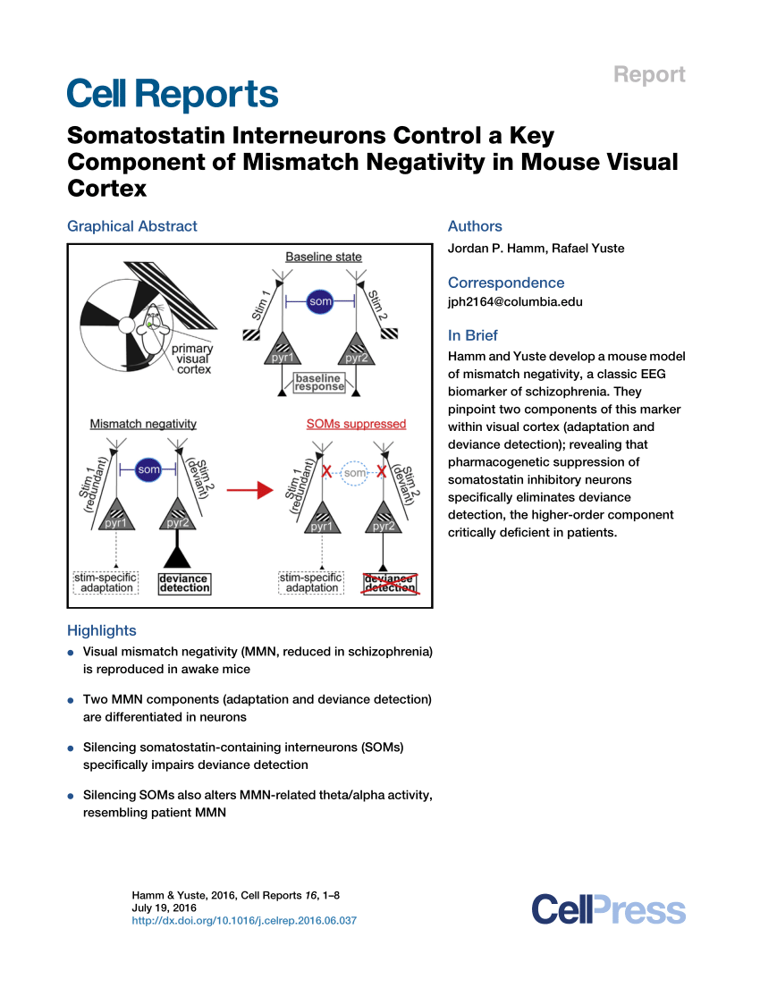 PDF) Somatostatin Interneurons Control a Key Component of Mismatch ...