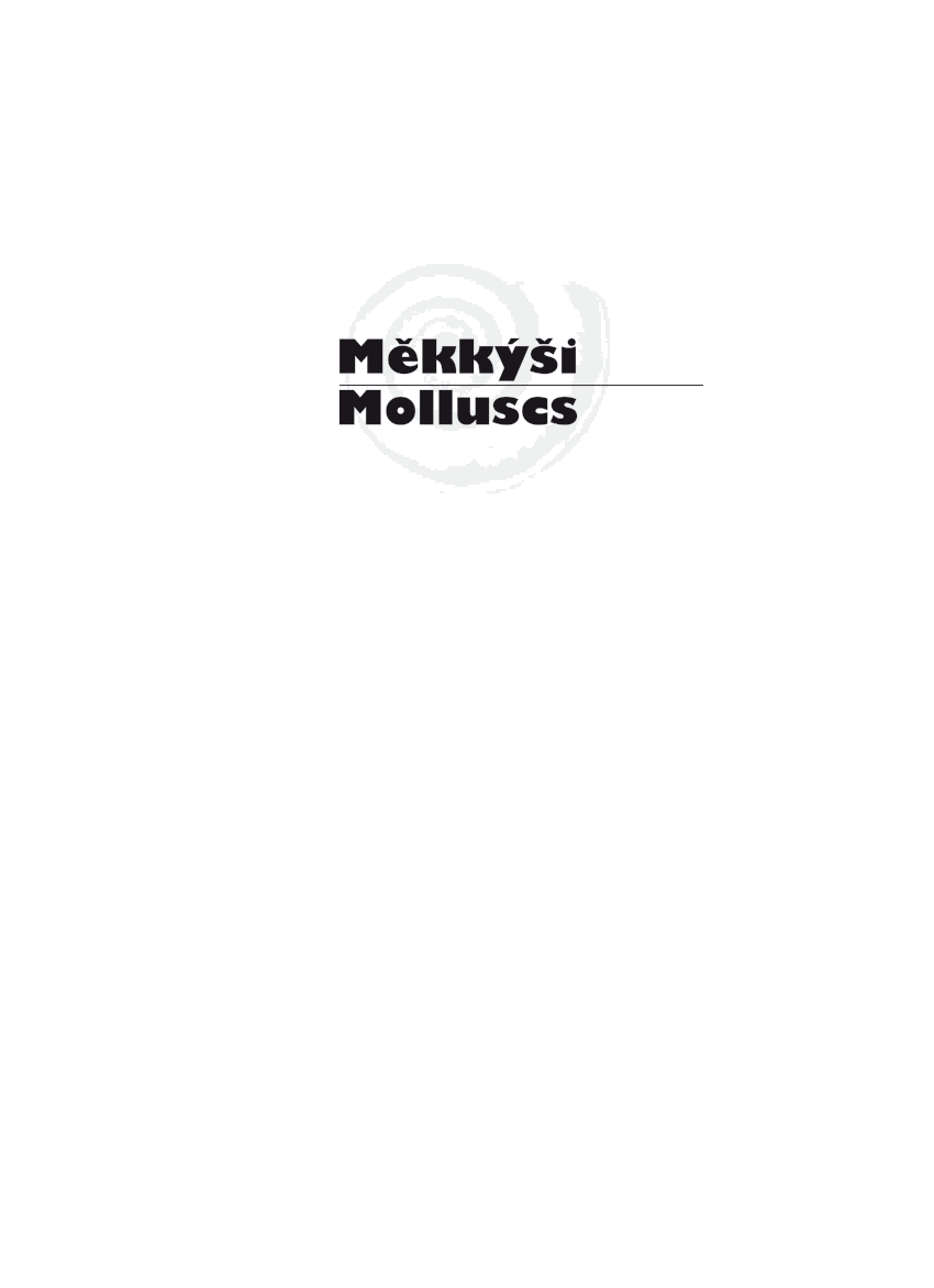 Pdf Mekkysi Ceske A Slovenske Republiky Molluscs Of The Czech And Slovak Republics