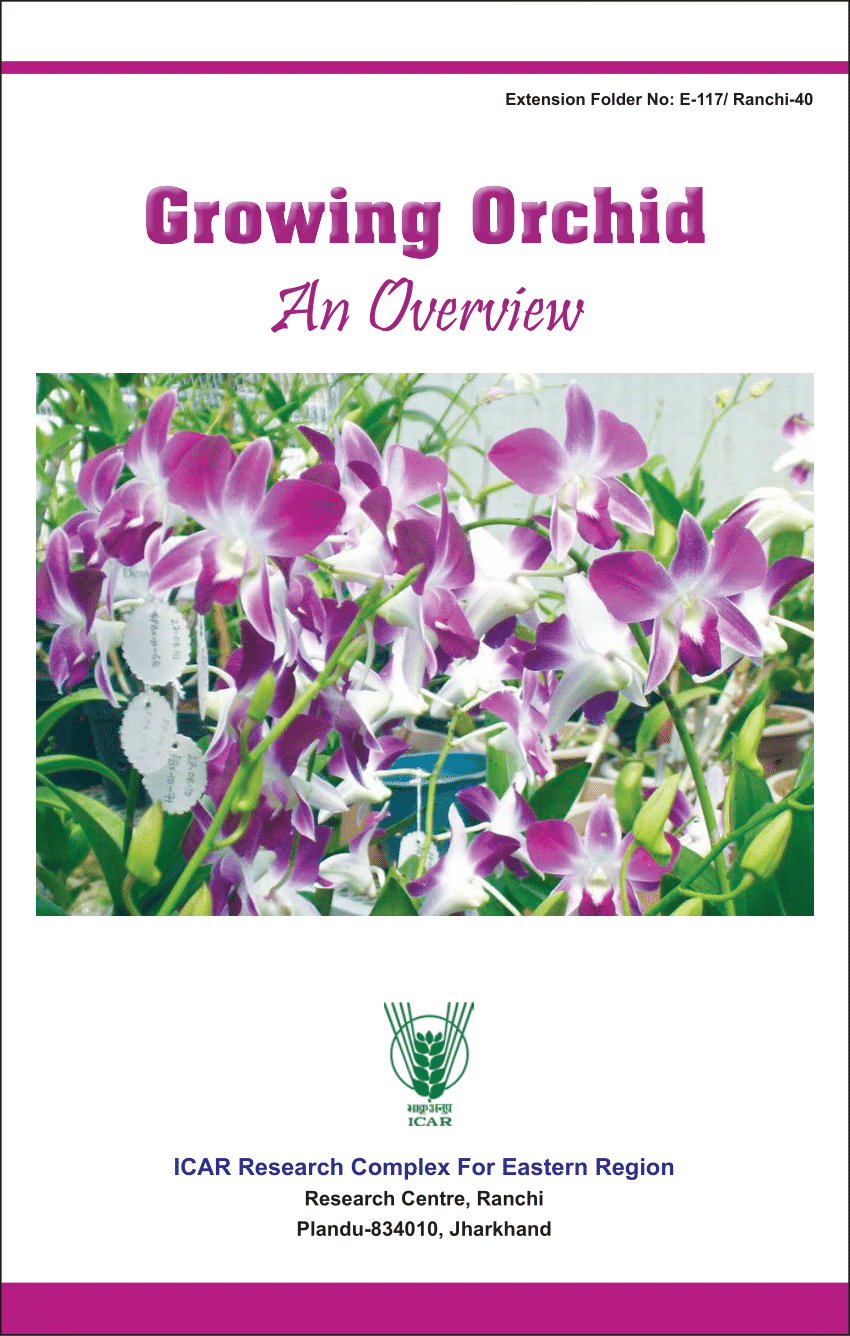 Pdf Growing Orchid An Overview