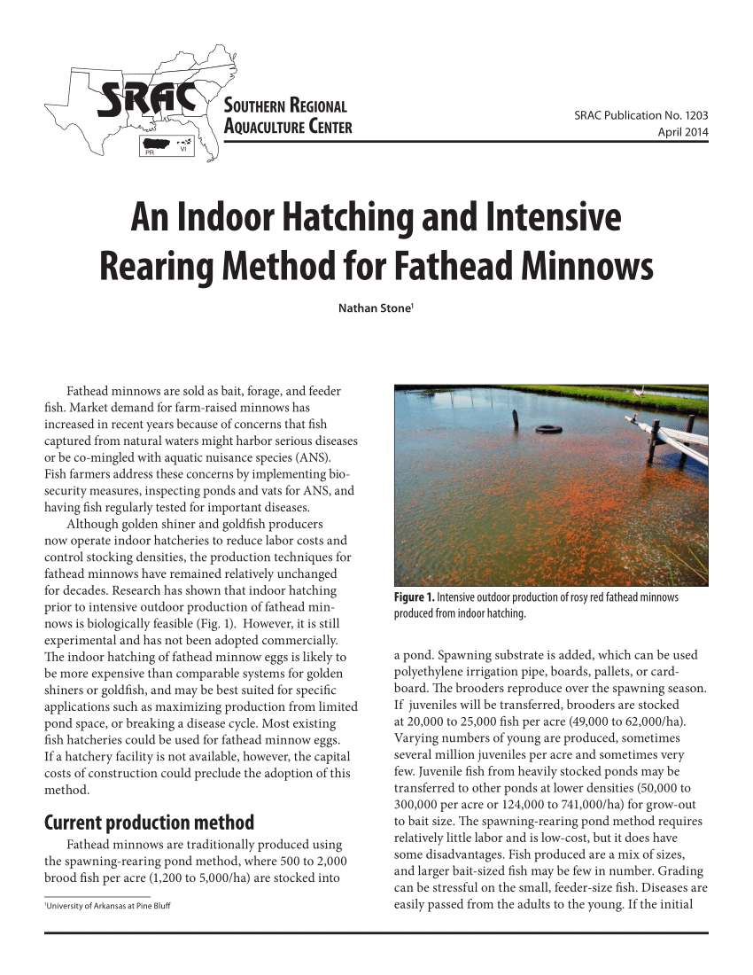 PDF) An Indoor Hatching and Intensive Rearing Method for Fathead Minnows