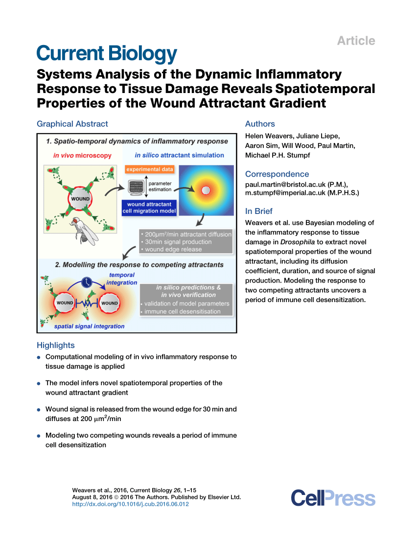 PDF) Systems Analysis of the Dynamic Inflammatory Response to ...