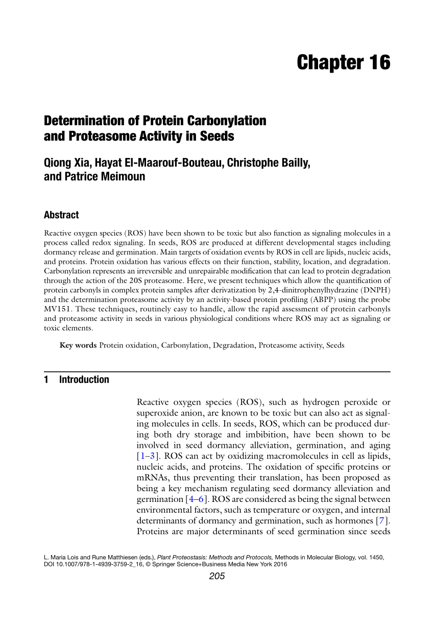 quantitation of protein carbonylation by dot blot