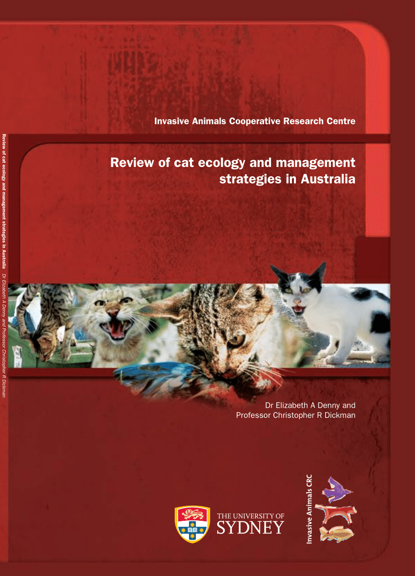 Pdf Review Of Cat Ecology And Management Strategies In Australia