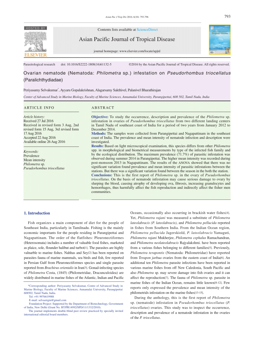 Pdf Occurrence And Prevalence Of Philometra Sp Nematoda