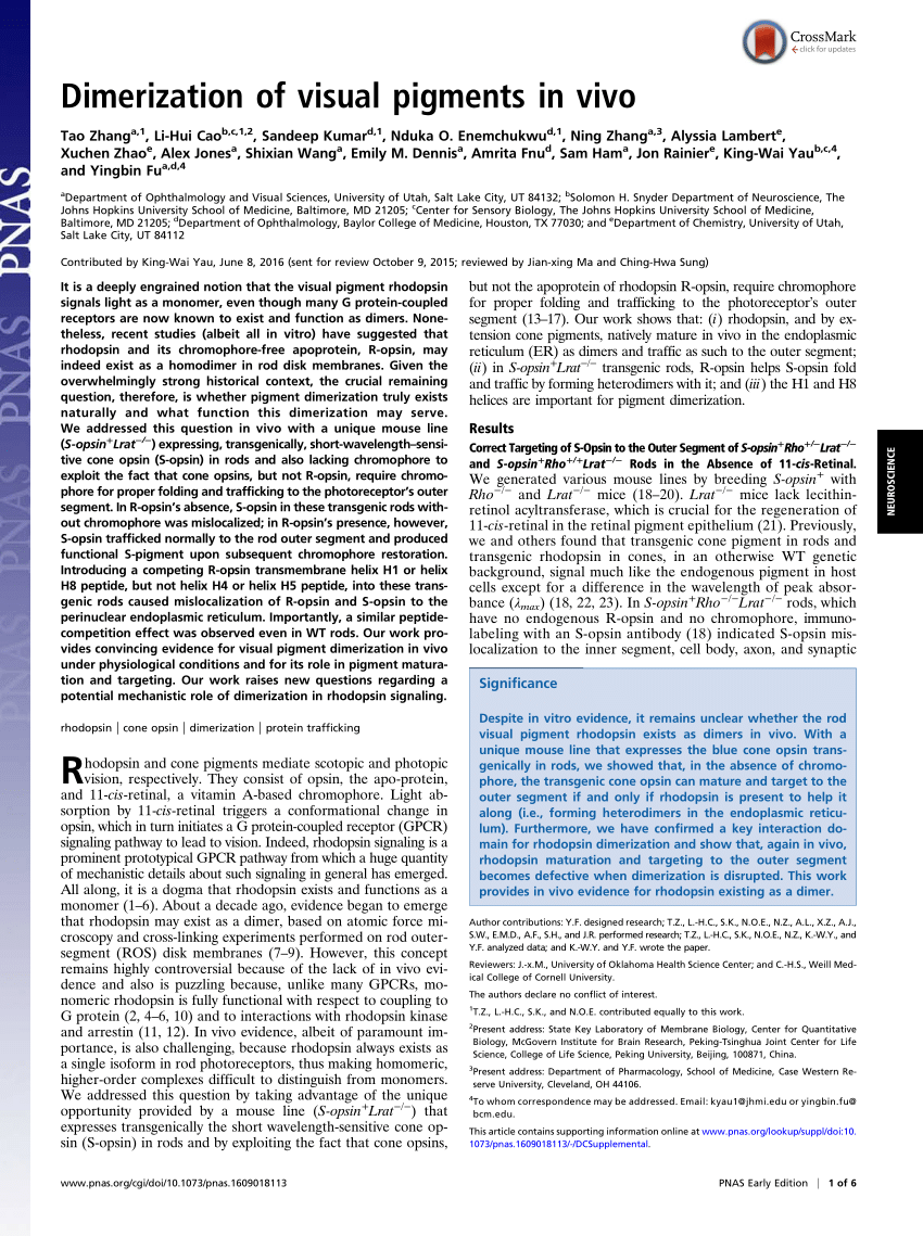 (PDF) Dimerization of visual pigments in vivo