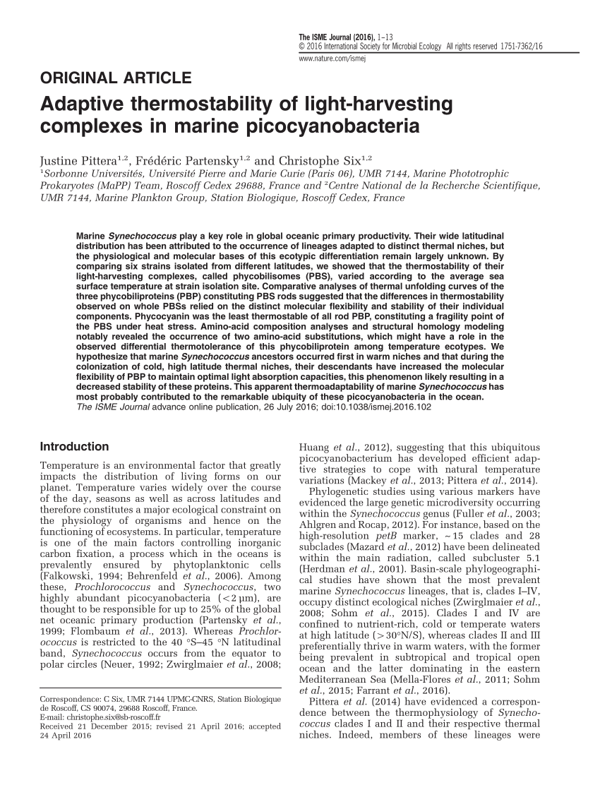 Pdf Adaptive Thermostability Of Light Harvesting Complexes In Marine Picocyanobacteria