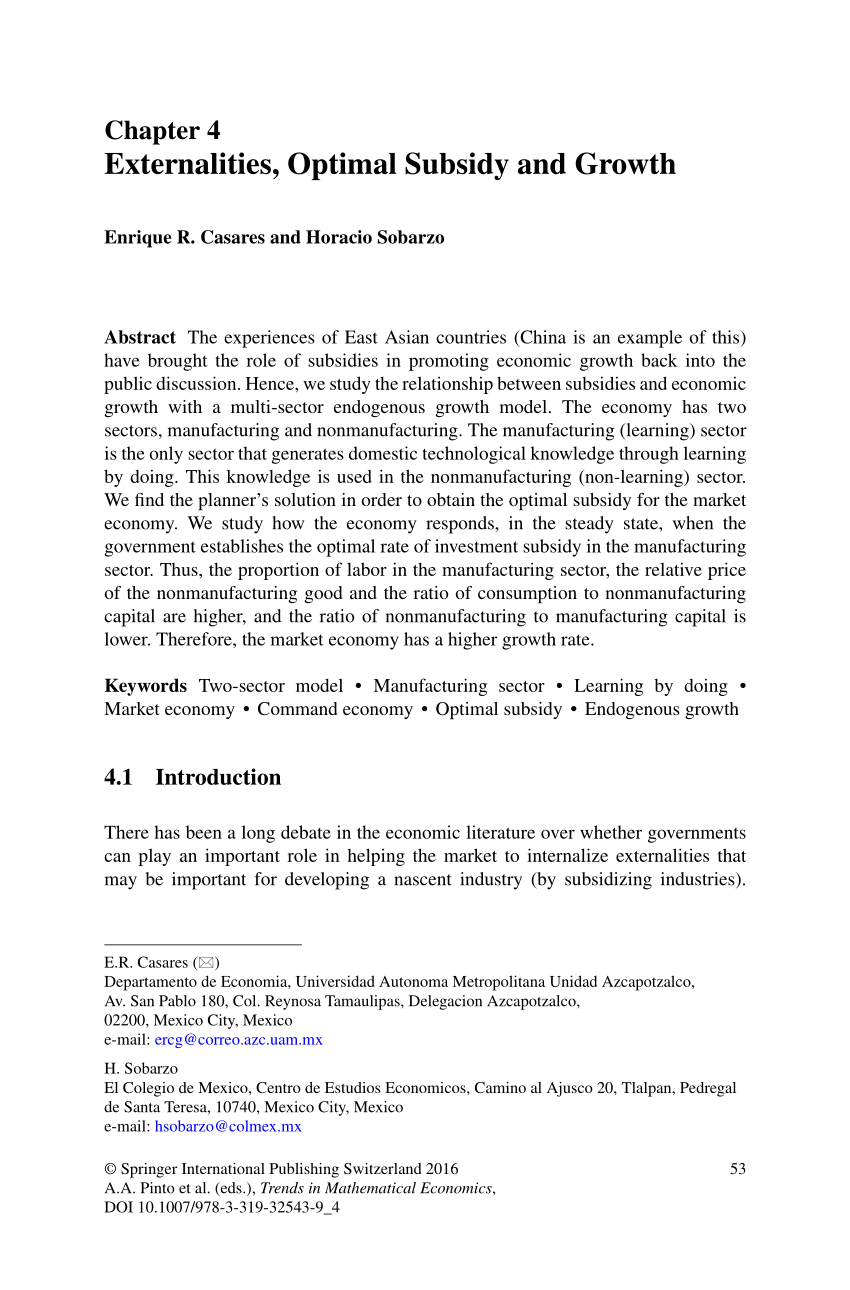 PDF) Externalities, Optimal Subsidy and Growth: