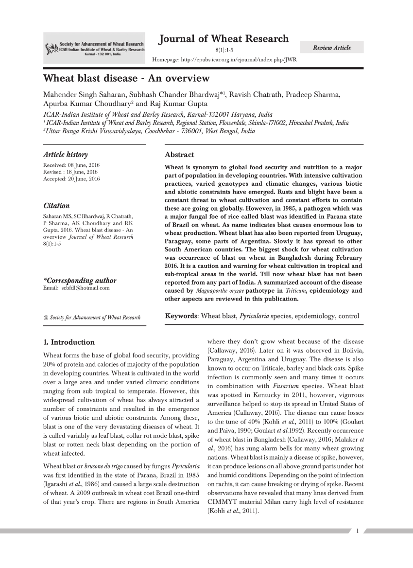 Research Paper On Huntingtons Disease