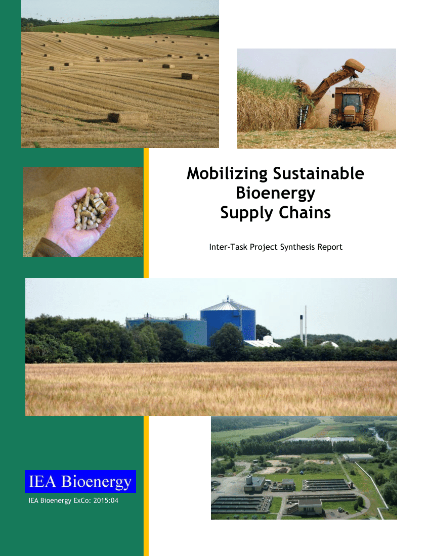 PDF) Mobilizing Sustainable Bioenergy Supply Chains