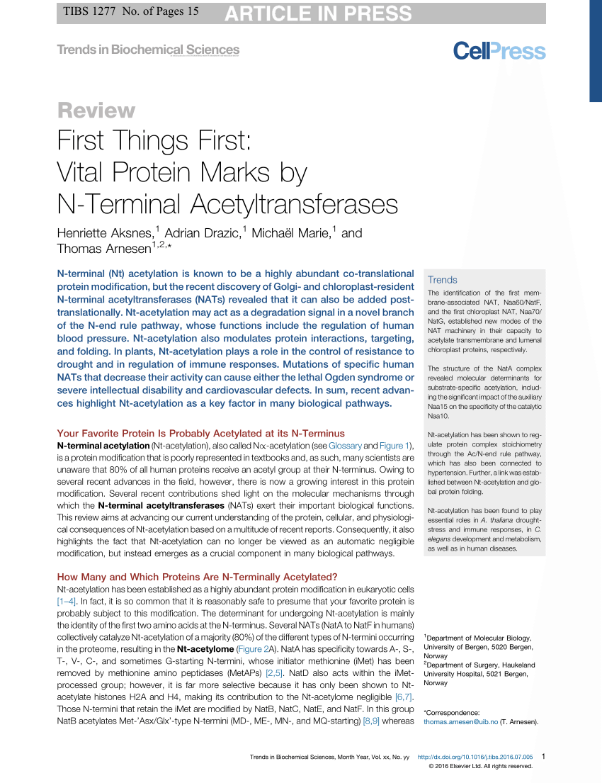 PDF) N-terminal acetylation shields proteins from degradation and promotes  age-dependent motility and longevity