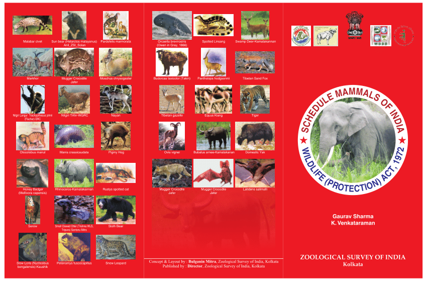 PDF) Schedule Mammals of India - Wild Life Protection Act 1972