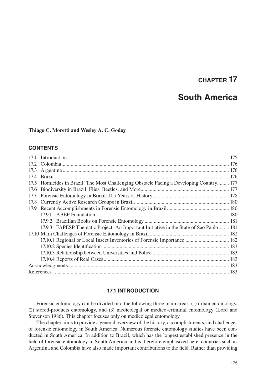 an essay about south america