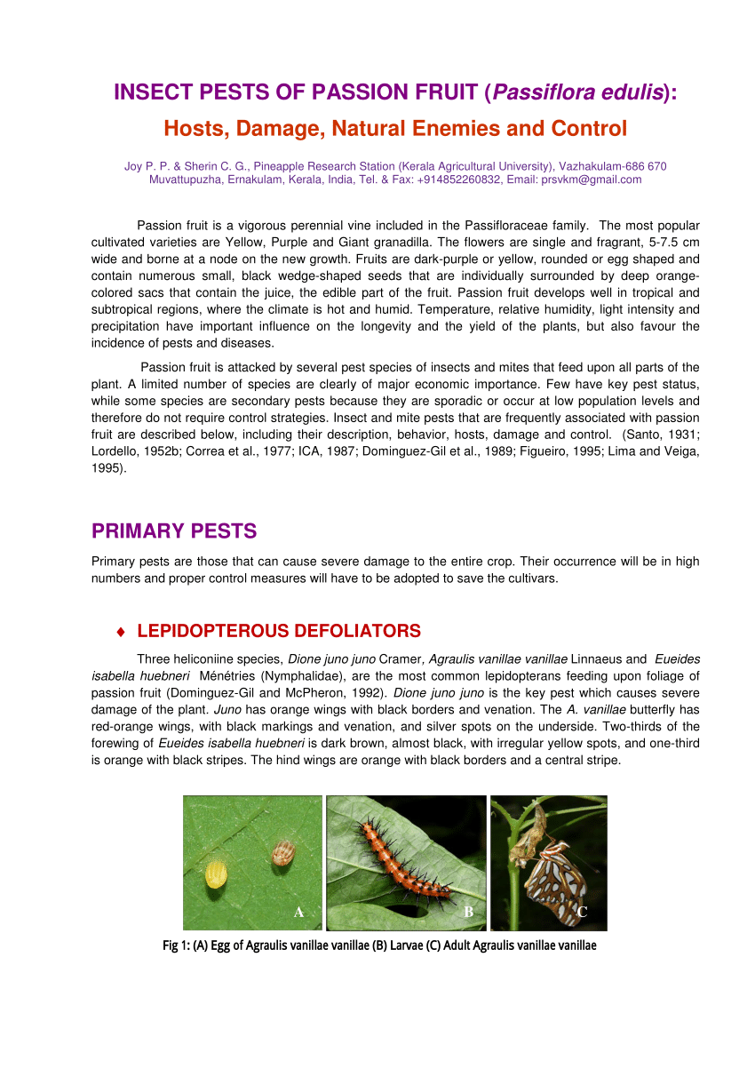 PDF) INSECT PESTS OF PASSION FRUIT (Passiflora edulis): Hosts, Damage,  Natural Enemies and Control