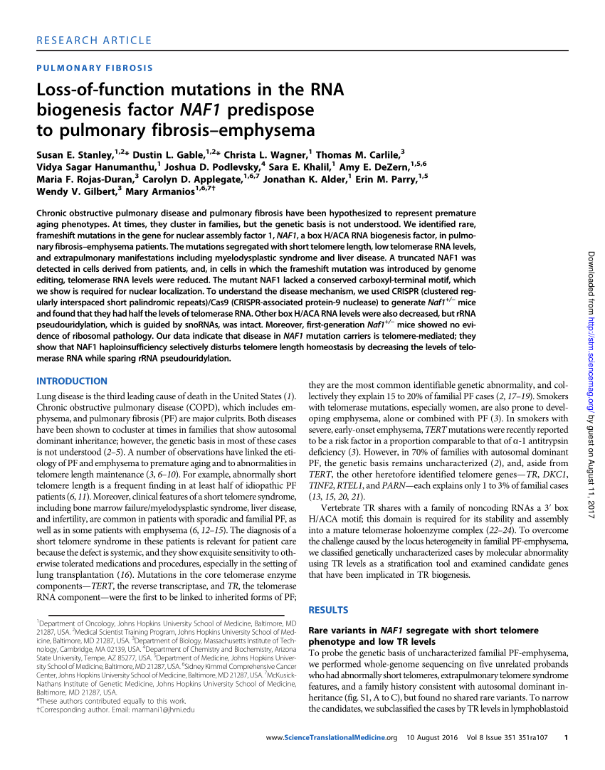 Pdf Loss Of Function Mutations In The Rna Biogenesis Factor Naf1 Predispose To Pulmonary Fibrosis Emphysema
