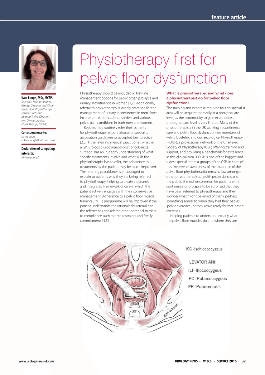 Pdf Physiotherapy First For Pelvic Floor Dysfunction