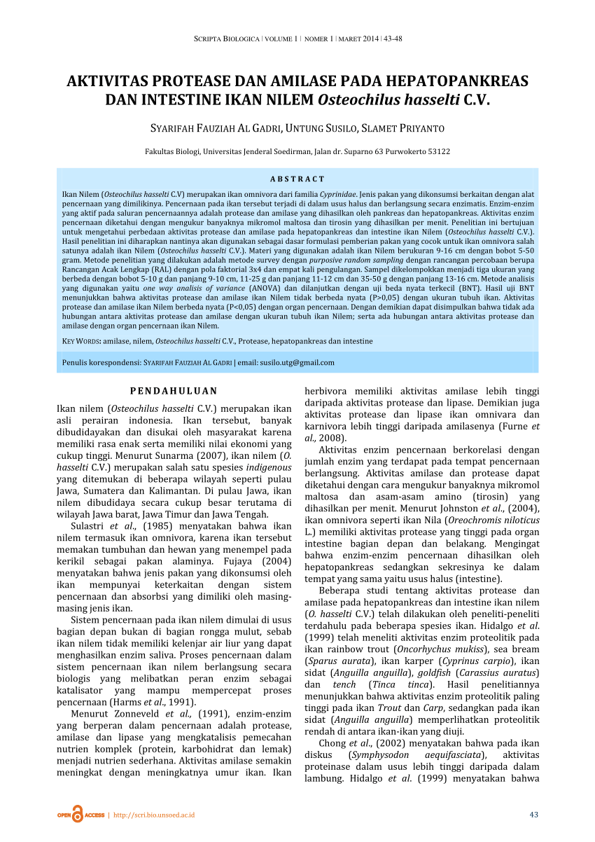Enzim Proteolitik pdf