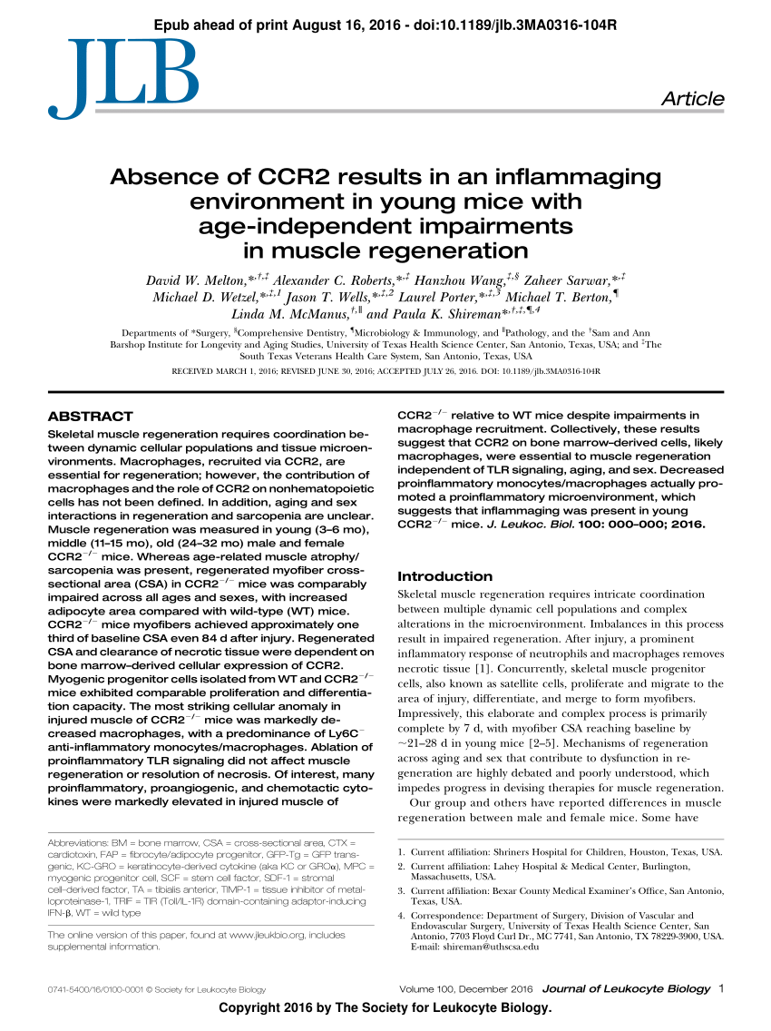 PDF) Absence of CCR2 results in an inflammaging environment in young mice  with age-independent impairments in muscle regeneration