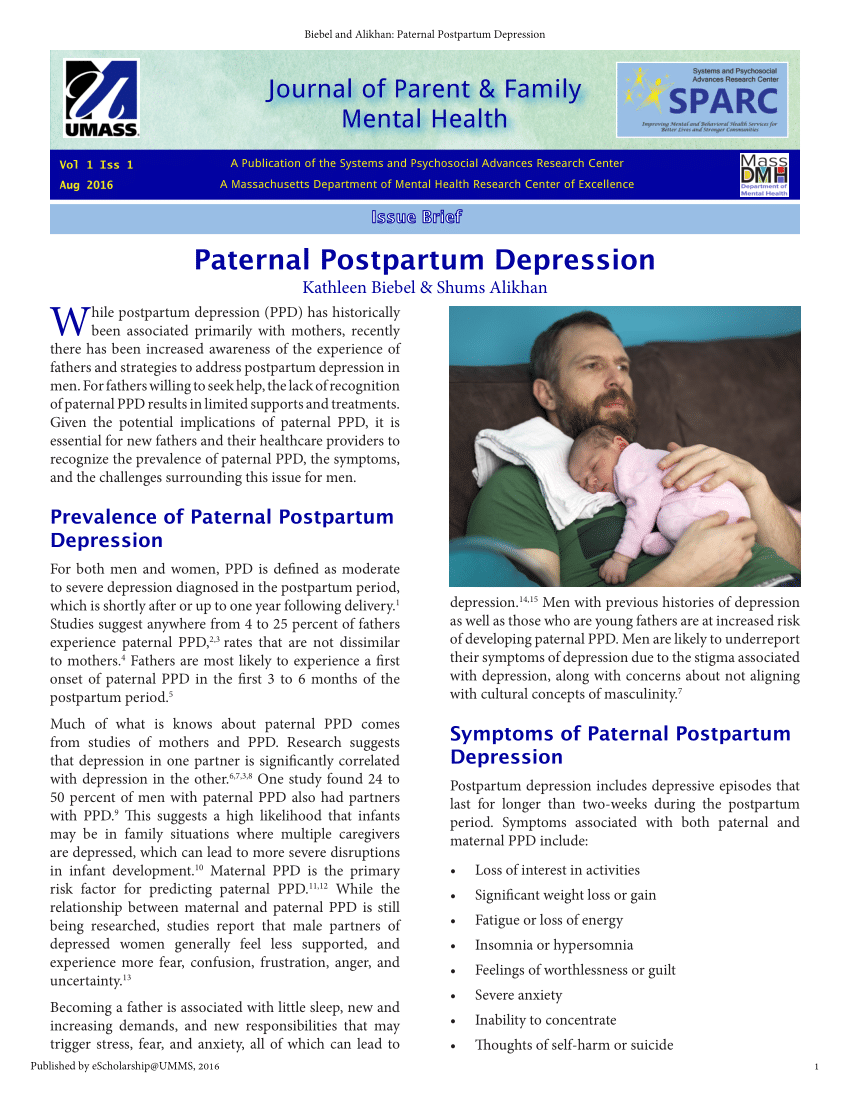 postpartum depression research paper pdf