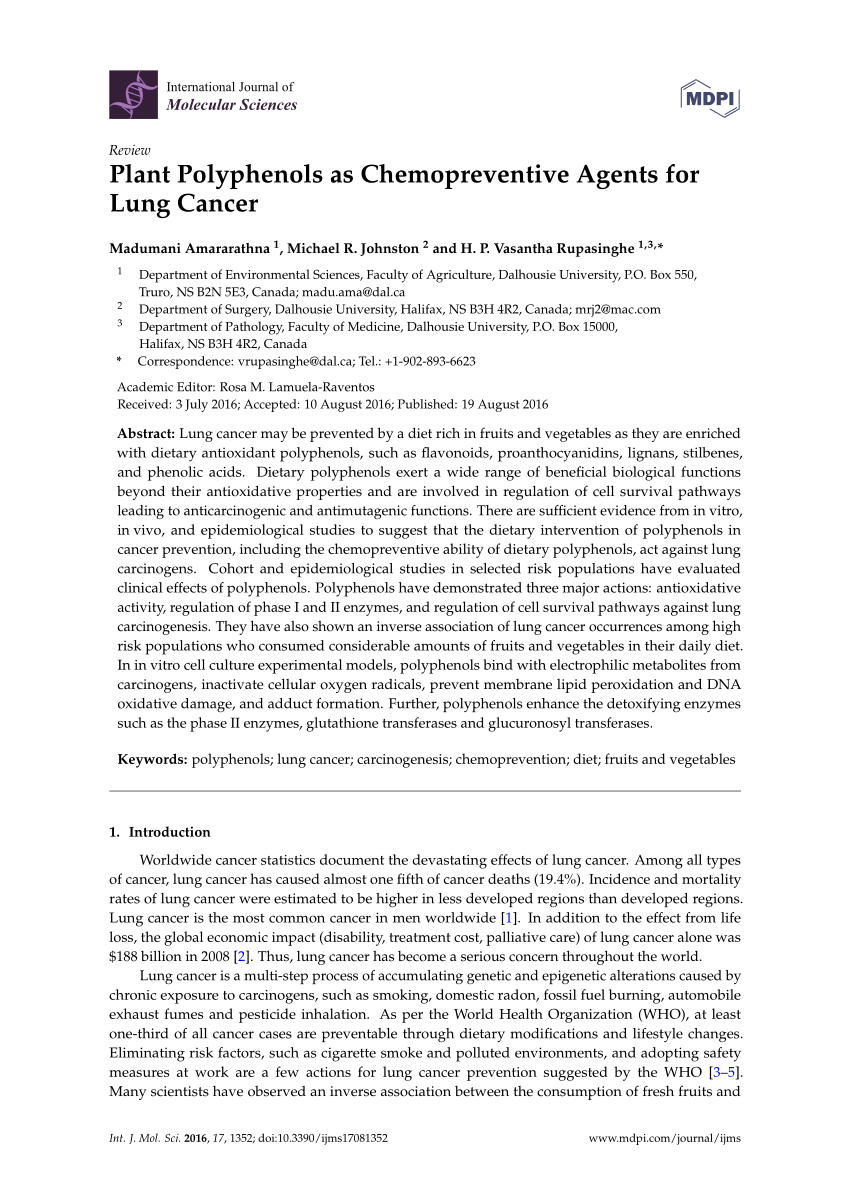 Stages of developing lung cancer, in summary (Modified from