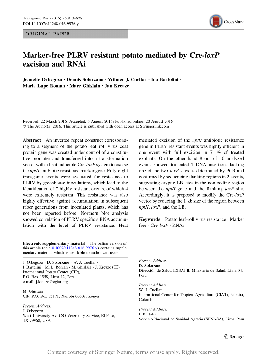 PDF) Marker-free PLRV resistant potato mediated by Cre-loxP ...