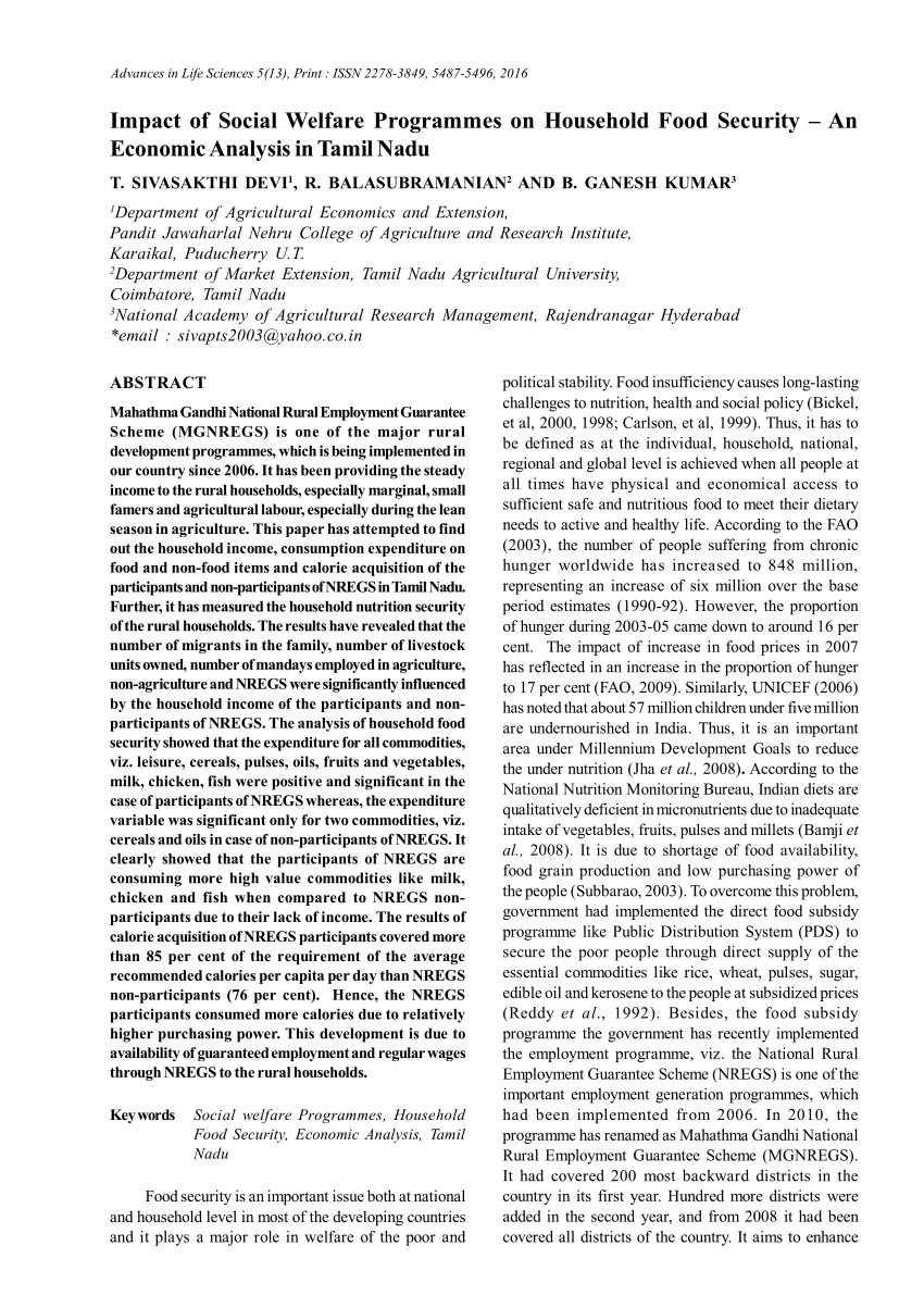 Pdf Impact Of Social Welfare Programmes On Household Food Security An Economic Analysis In Tamil Nadu