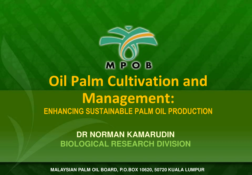 business plan on oil palm production pdf