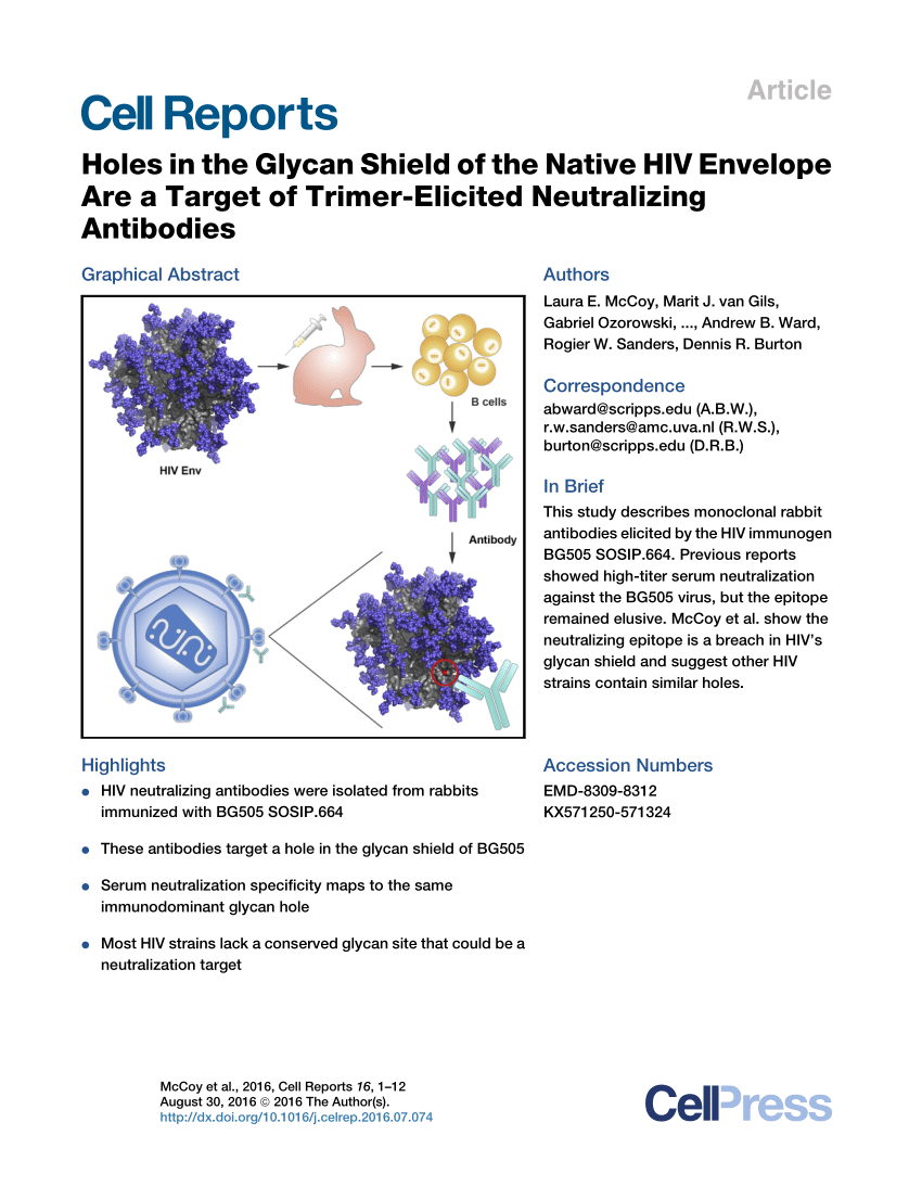 Atajos Gracioso Menagerry PDF) Holes in the Glycan Shield of the Native HIV Envelope Are a Target of  Trimer-Elicited Neutralizing Antibodies