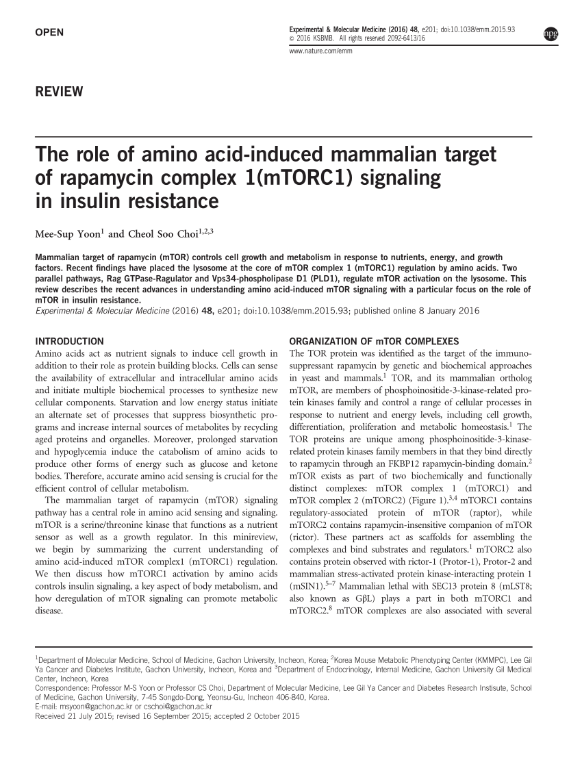 Pdf The Role Of Amino Acid Induced Mammalian Target Of Rapamycin Complex 1mtorc1 Signaling 9312