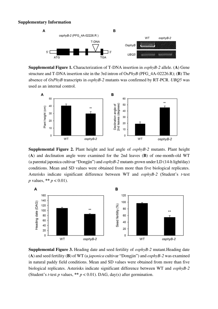 (PDF) Supplementary File 1