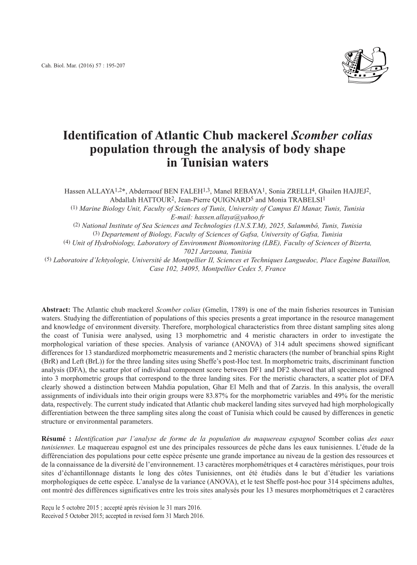 PDF) Identification of Atlantic Chub mackerel Scomber colias