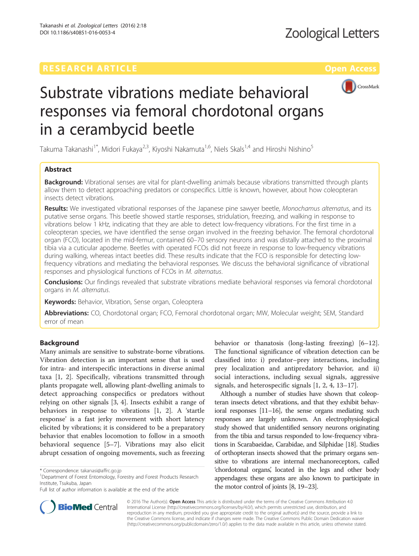 Substrate vibrations mediate behavioral responses via femoral