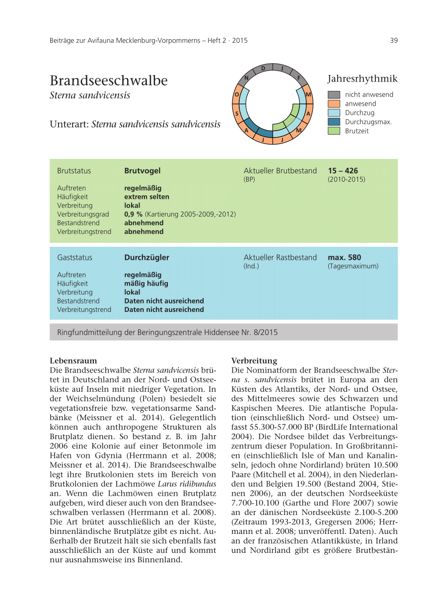 Pdf Brandeseeschwalbe Sterna Sandvicensis