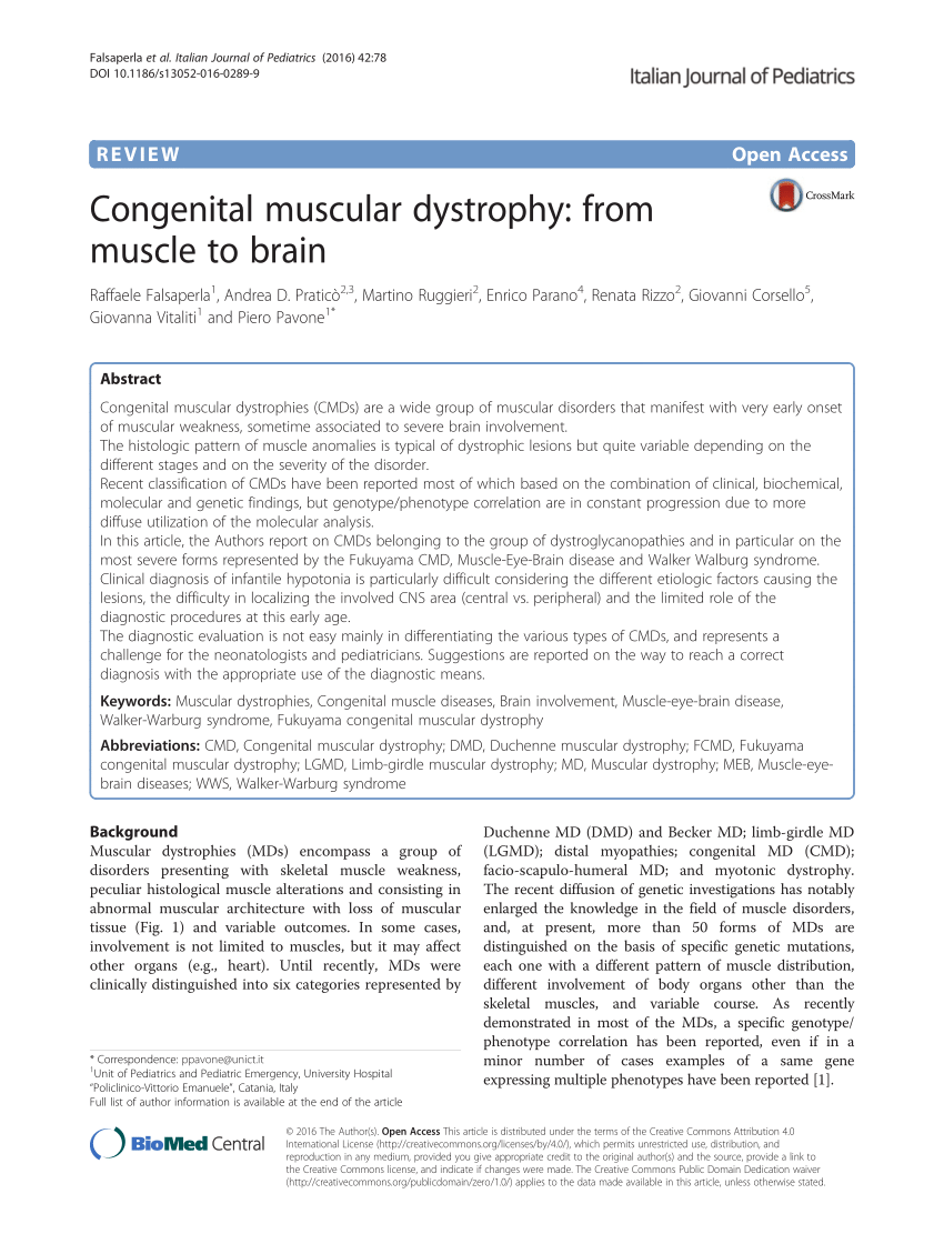 research paper on muscular dystrophy