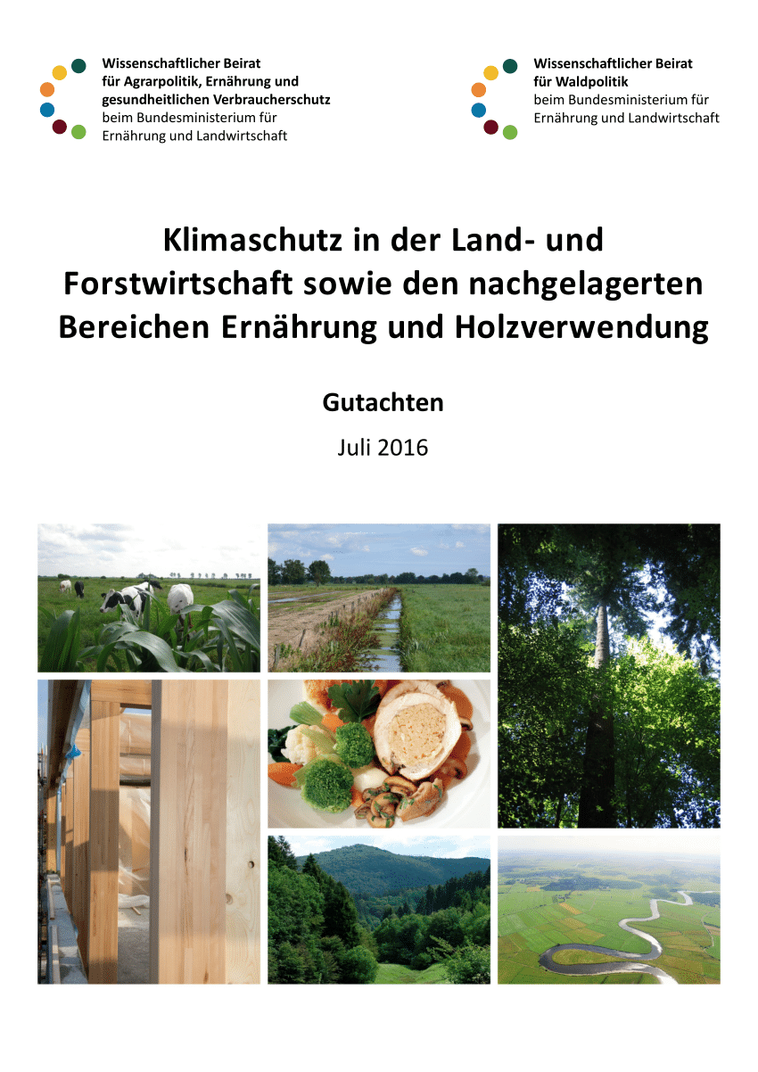 (PDF) Klimaschutz in der Land- und Forstwirtschaft sowie den nachgelagerten Bereichen Ernährung 