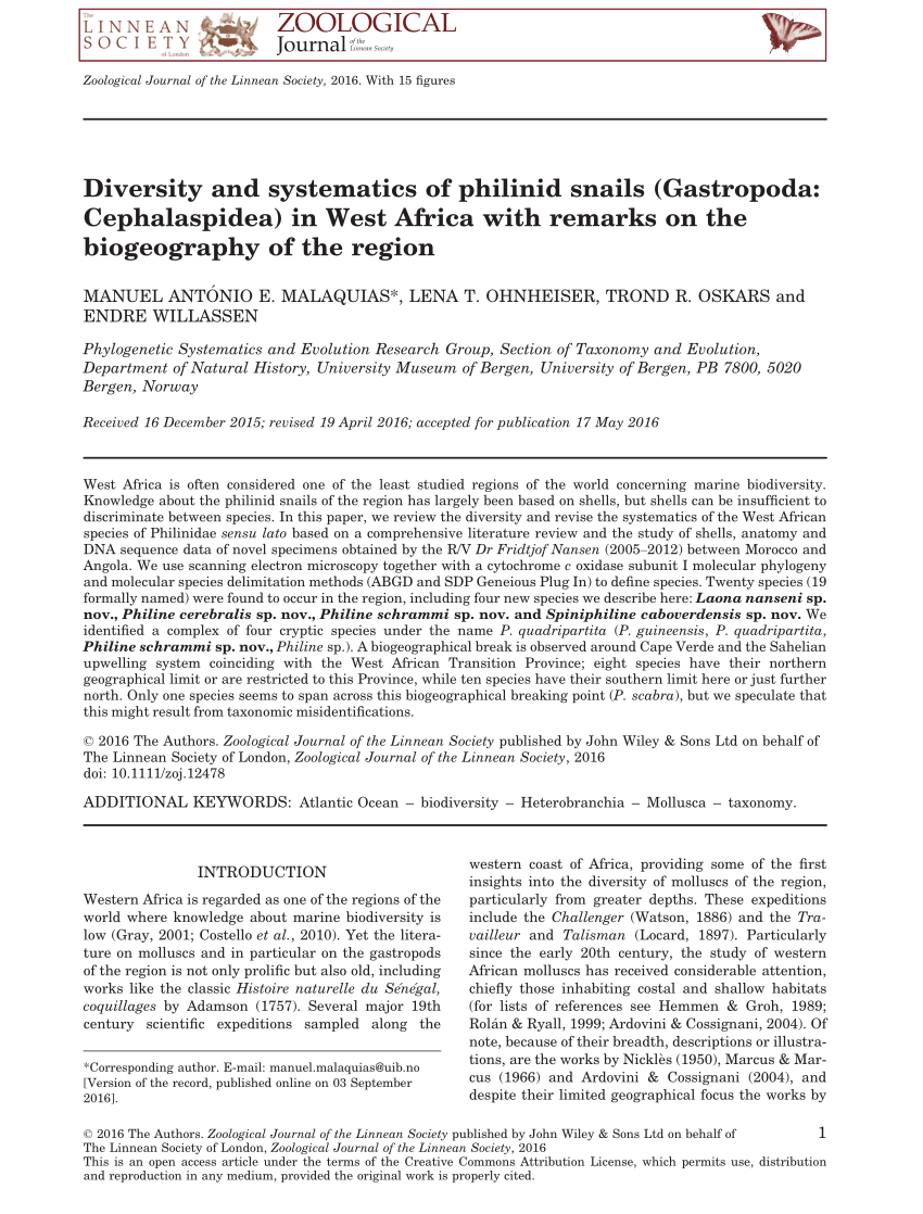 PDF) Diversity and systematics of philinid snails (Gastropoda: Cephalaspidea) in West Africa with remarks on biogeography of the region