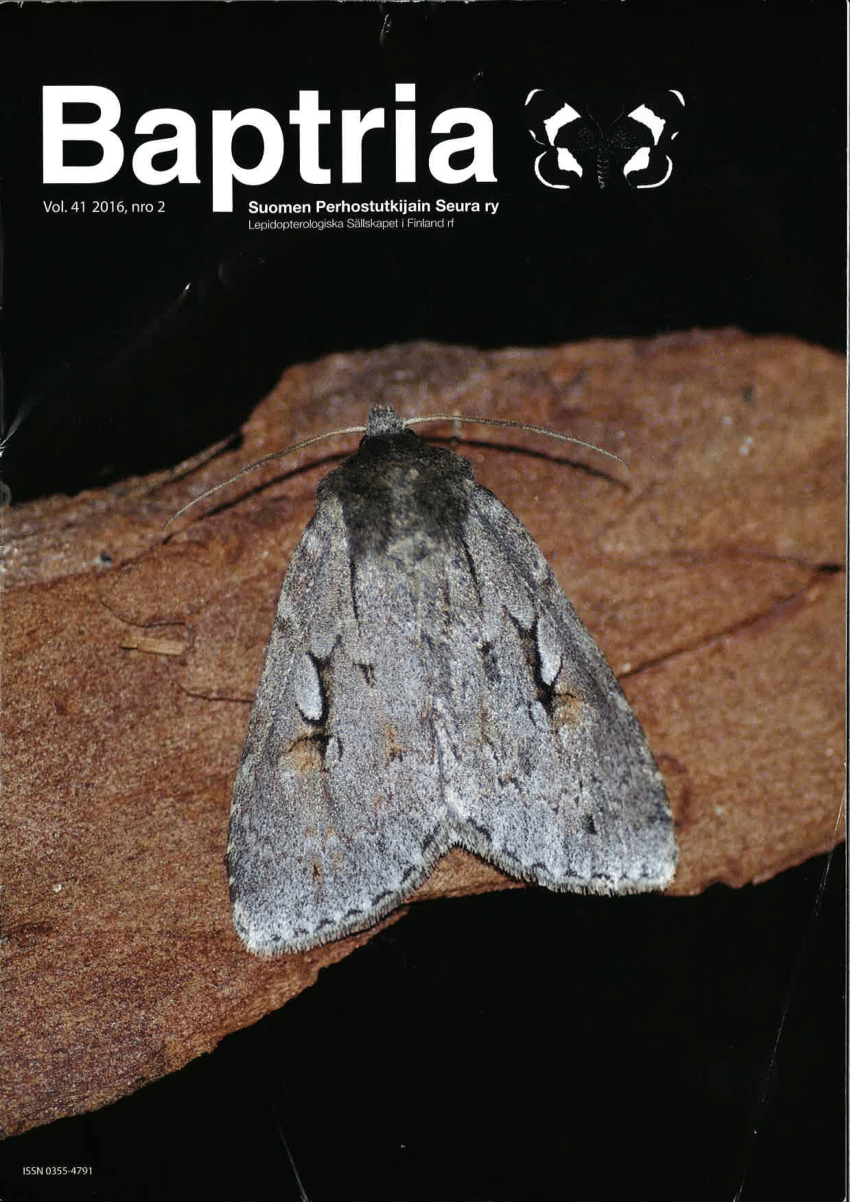 PDF) Lepidopterological expedition to Northern Trans-Baikalia