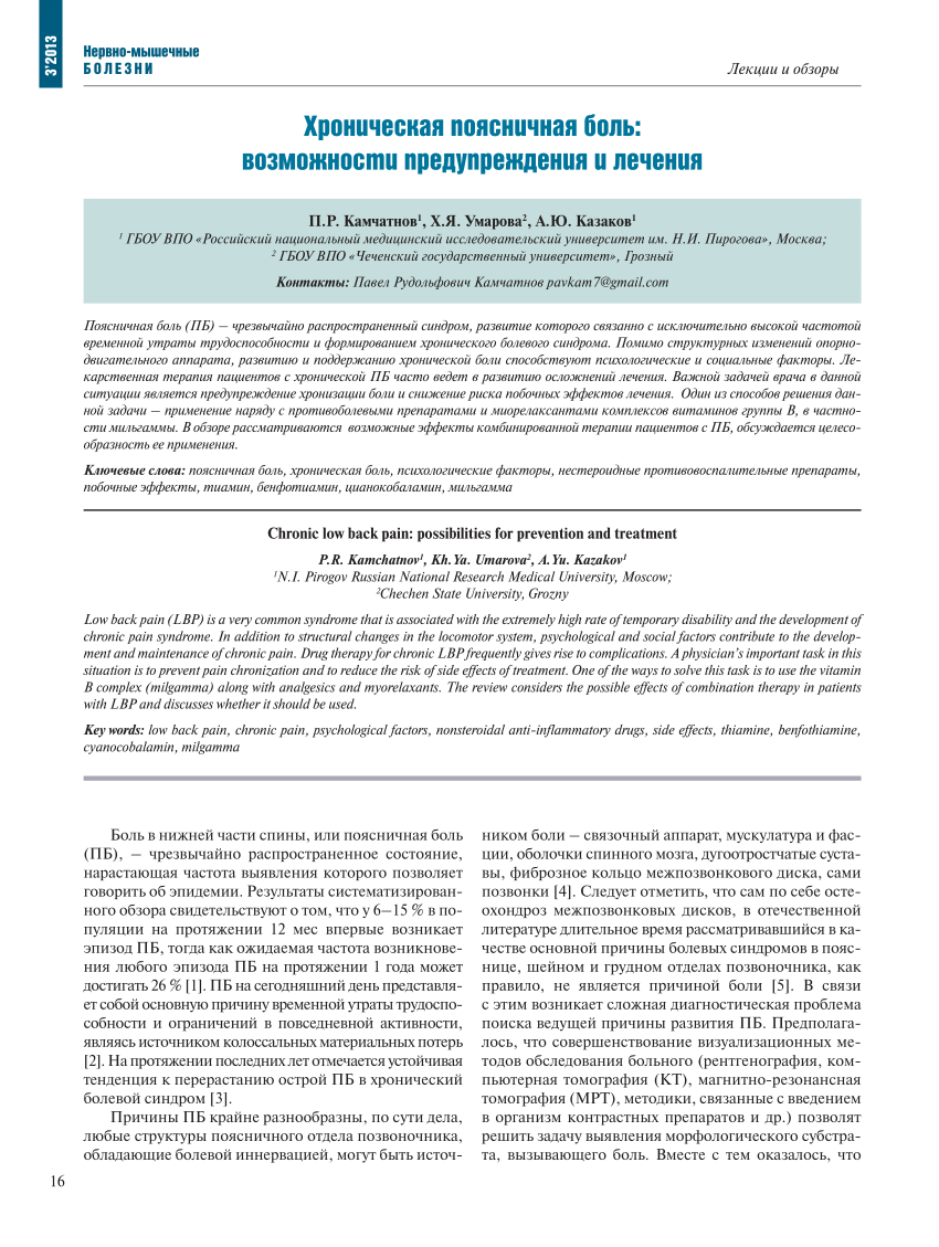 PDF) Chronic low back pain: possibilities for prevention and treatment