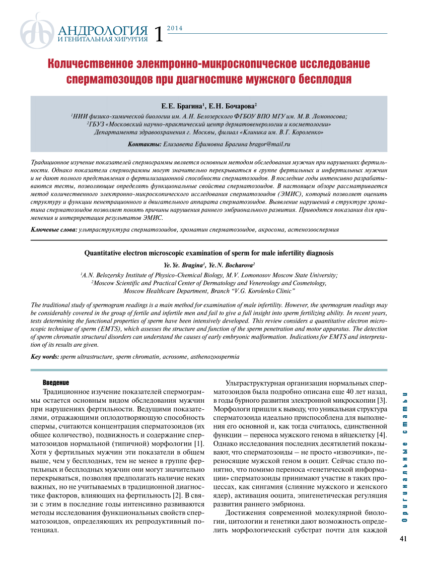 PDF) Quantitative electron microscopic examination of sperm for male  infertility diagnosis