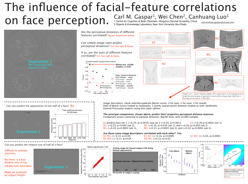 Pdf The Influence Of Facial Feature Correlations On Face Perception 4973