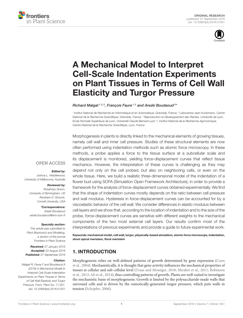 PDF) A Mechanical Model to Interpret Cell-Scale Indentation ...