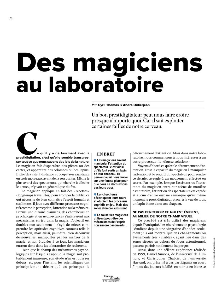 Pdf Des Magiciens Au Laboratoire