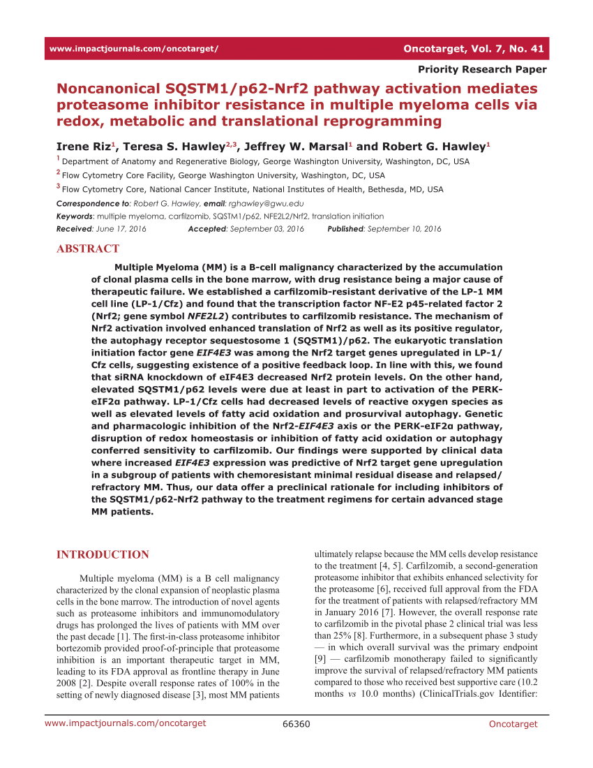 PDF) Noncanonical SQSTM1/p62-Nrf2 pathway activation mediates 