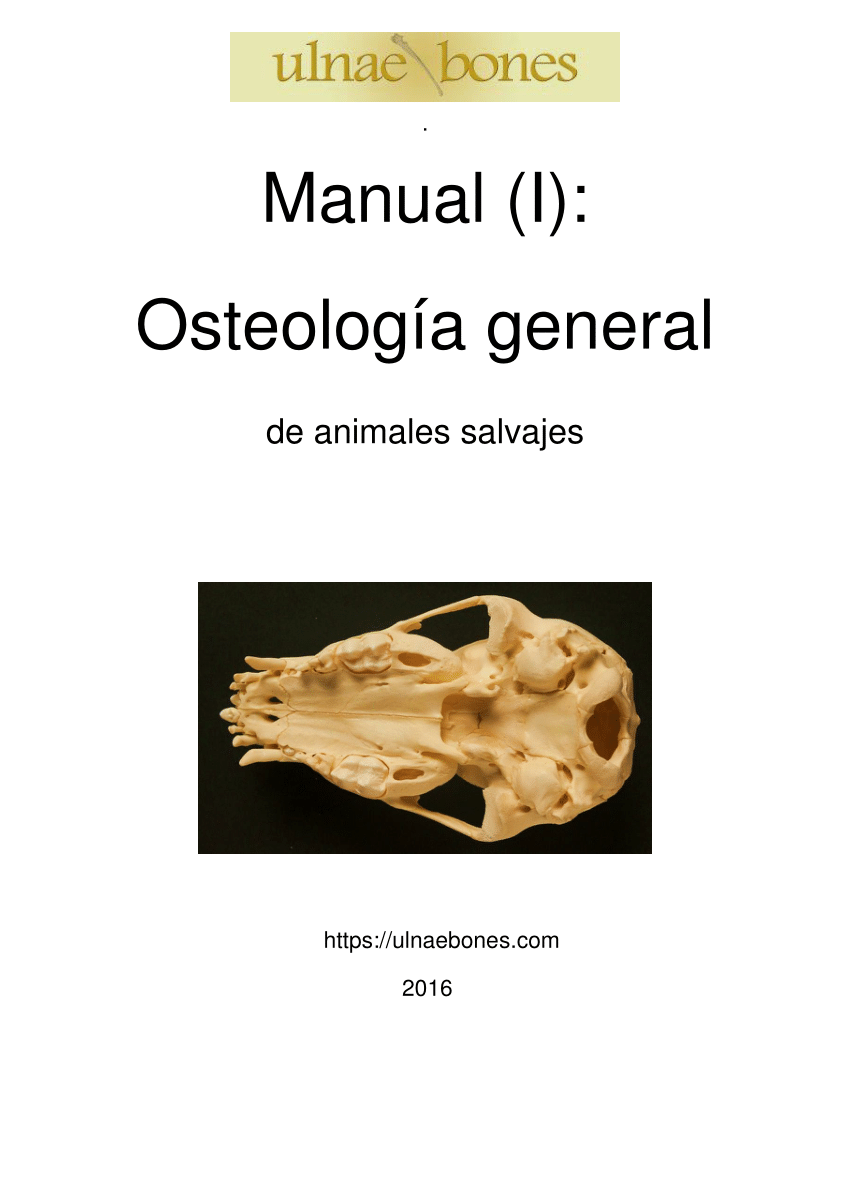 PDF) Manual (I): OSTEOLOGÍA general de animales salvajes