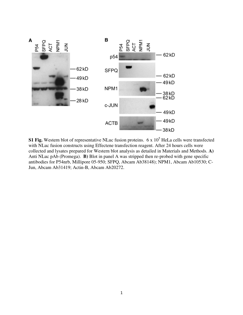 pdf-s1-fig